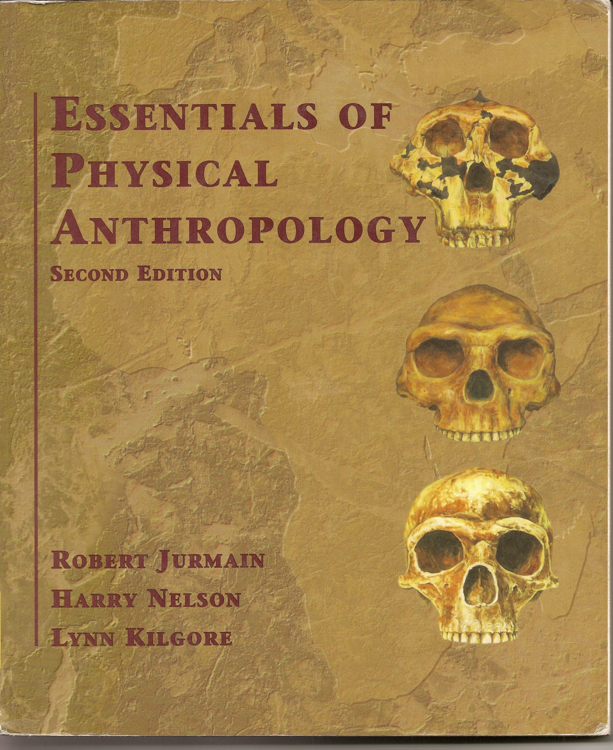 Essentials of Physical Anthropology Textbook - Human Evolution, Biological Anthropology & Primatology Study Guide | Perfect for College Students, Researchers & Anthropology Enthusiasts