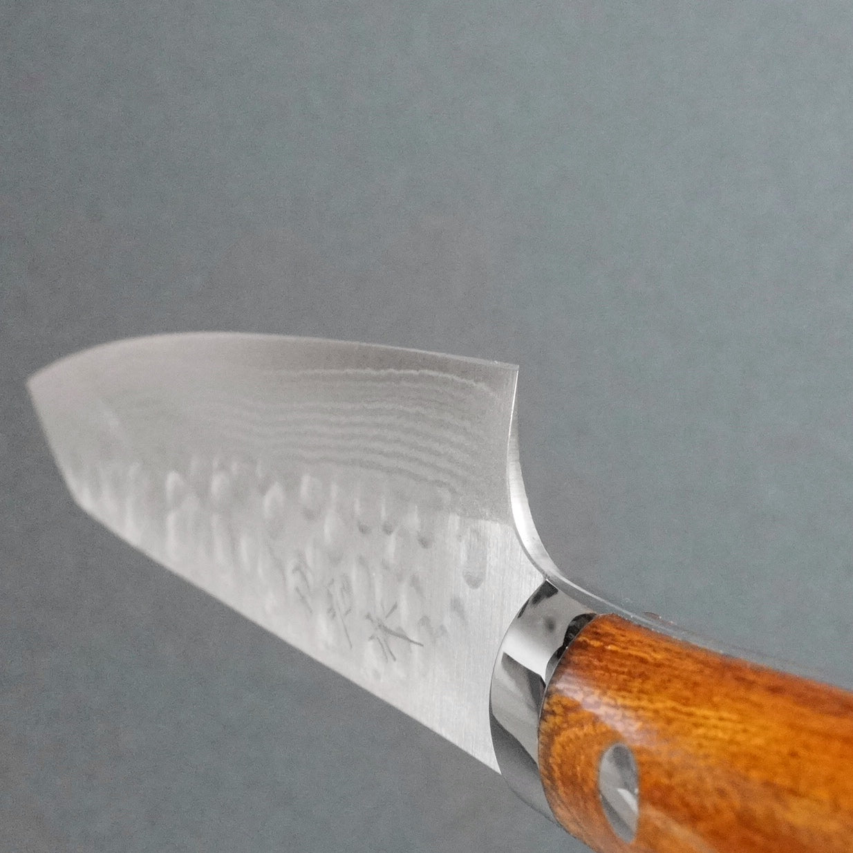 Saji Takeshi SRS13 Hammered Damascus Petty Knife 135mm - Premium Japanese Kitchen Knife with Ironwood Handle for Precision Slicing, Chopping & Garnishing | Perfect for Chefs, Home Cooks & Culinary Enthusiasts