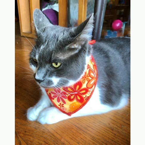 Sunshine Flowers Pet Bandana for Dogs & Cats - Cute Floral Pattern Dog Bandana & Cat Scarf for Special Occasions, Photo Shoots & Daily Wear