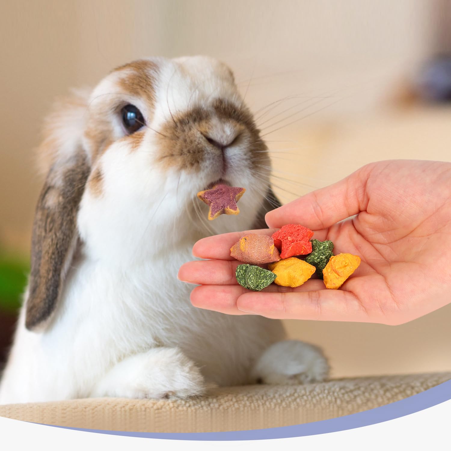 Healthy Mini Star Rabbit Treats - Natural Snacks for Rabbits & Small Pets - Chew Toys for Dental Care