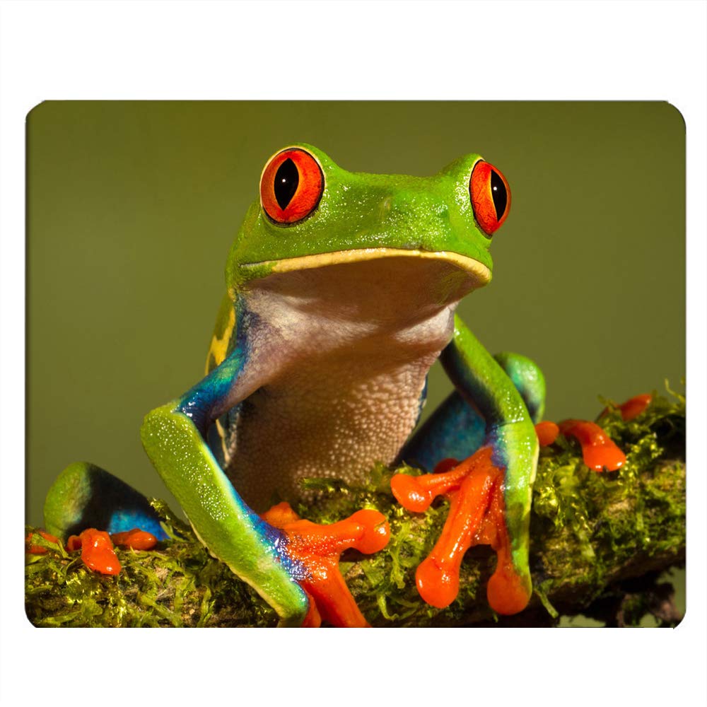 Cute Green Tree Frog Gaming Mouse Pad - Non-Slip Rubber Computer Mouse Mat for PC, Laptop & Office Desk (9.5x7.9 Inch) - Perfect for Gamers, Work & Home Office Setup
