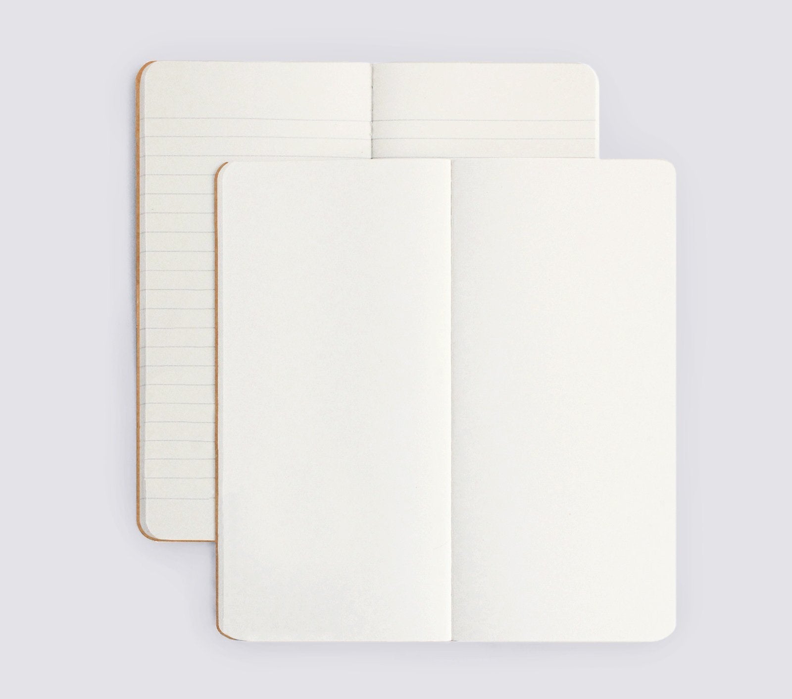 Premium Daily Ledger Set of 2 - Accounting Notebooks for Small Business & Personal Finance - Perfect for Bookkeeping, Budget Tracking & Financial Organization at Home or Office