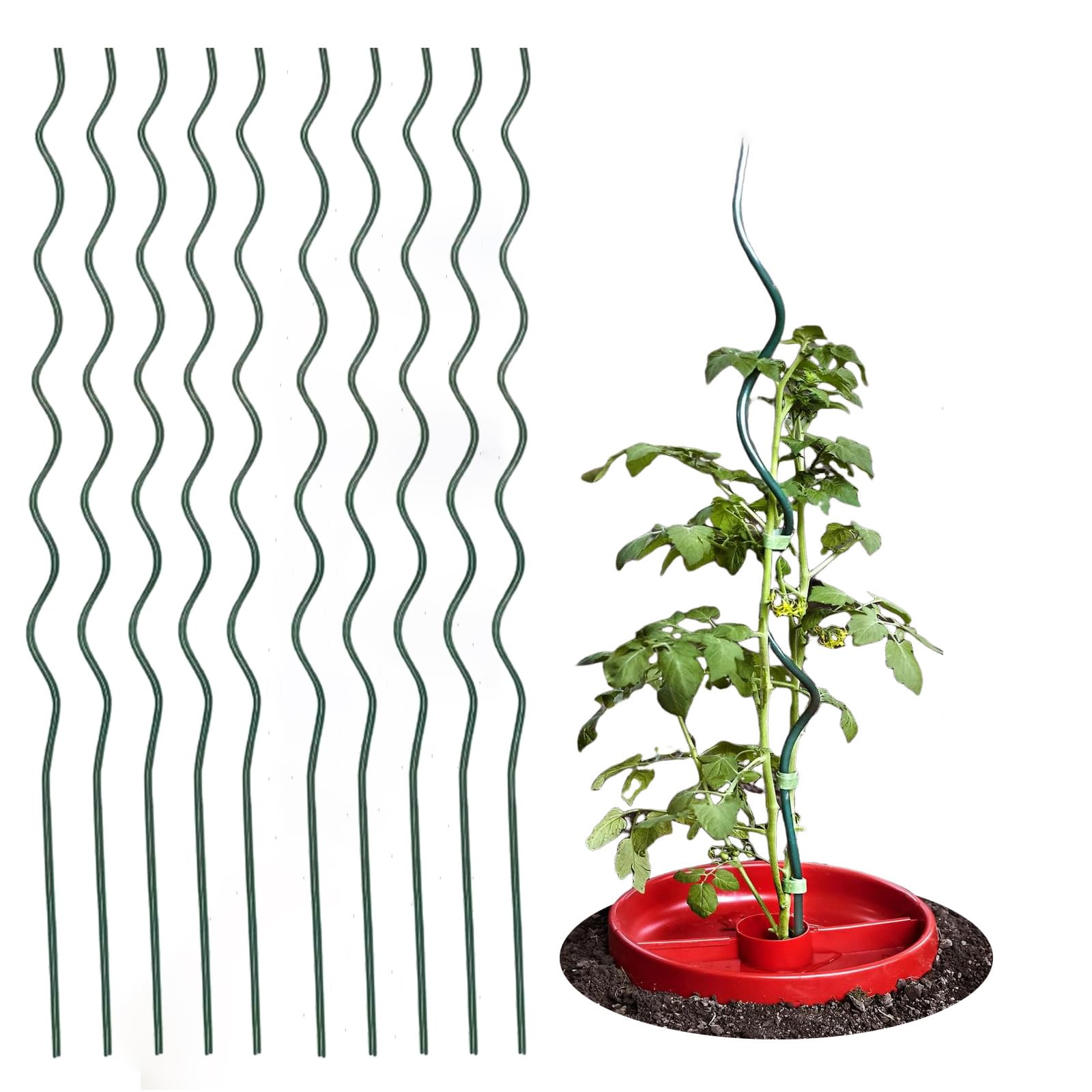 59-inch Green Spiral Tomato Stakes - Pack of 10 | 6mm Thick Twist Plant Supports for Climbing Tomatoes, Vines & Vegetables | Durable Garden Stakes for Outdoor Planting, Trellising & Vertical Gardening