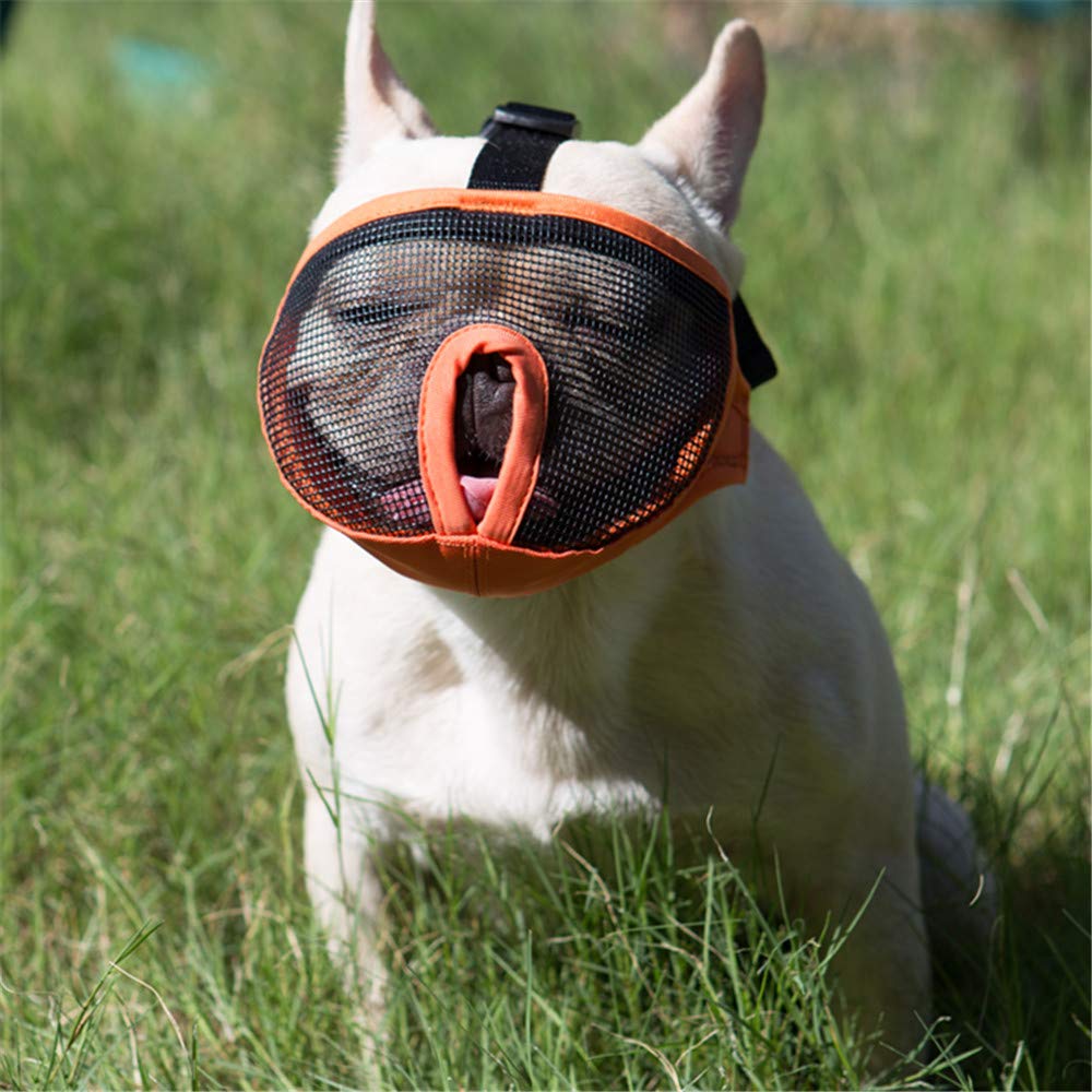 Adjustable Breathable Mesh Dog Muzzle for Bulldogs & Short Snout Breeds - Bite Proof Training Mask for Chewing, Barking & Grooming - Perfect for Walks, Vet Visits & Behavior Training