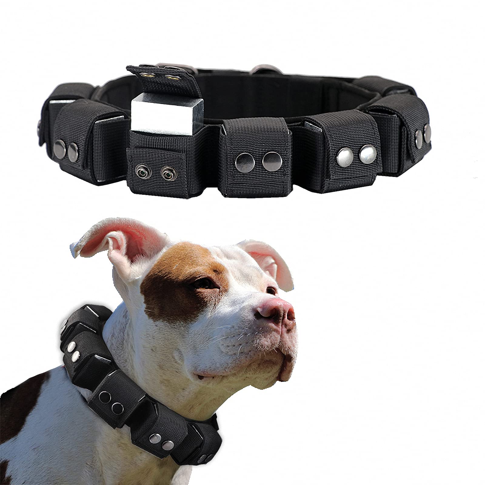 Walktime Weighted Dog Collar for Training & Exercise - Adjustable Tactical Collar with Removable Weights for Small, Medium & Large Dogs - Perfect for Obedience Training, Agility & Strength Building