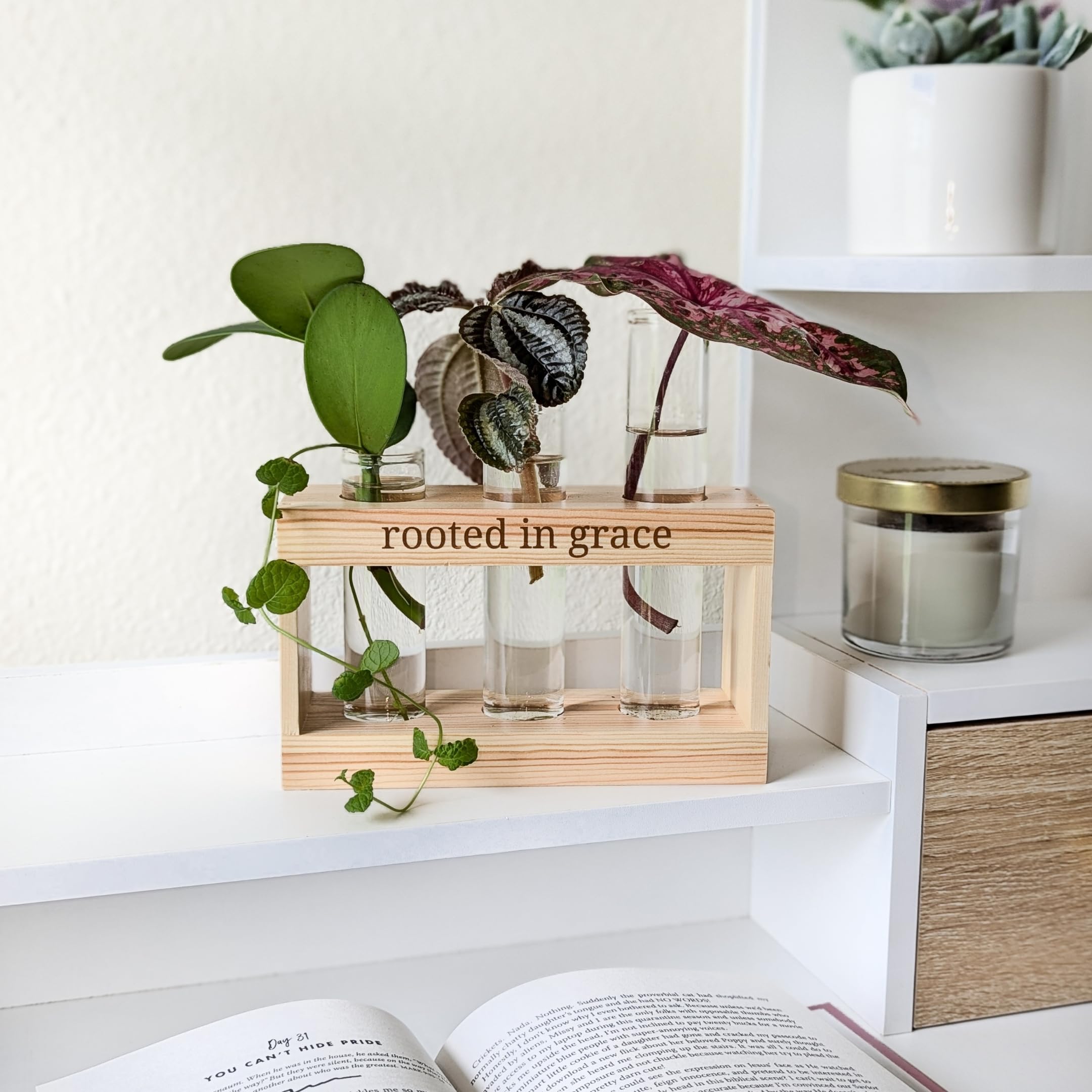Rooted in Grace: Plant Propagation Station with Glass Vases - Unique Christian Gift Set for Women & Moms, Indoor Planter & Home Decor for Faith-Inspired Living Rooms, Kitchens, or Office Spaces