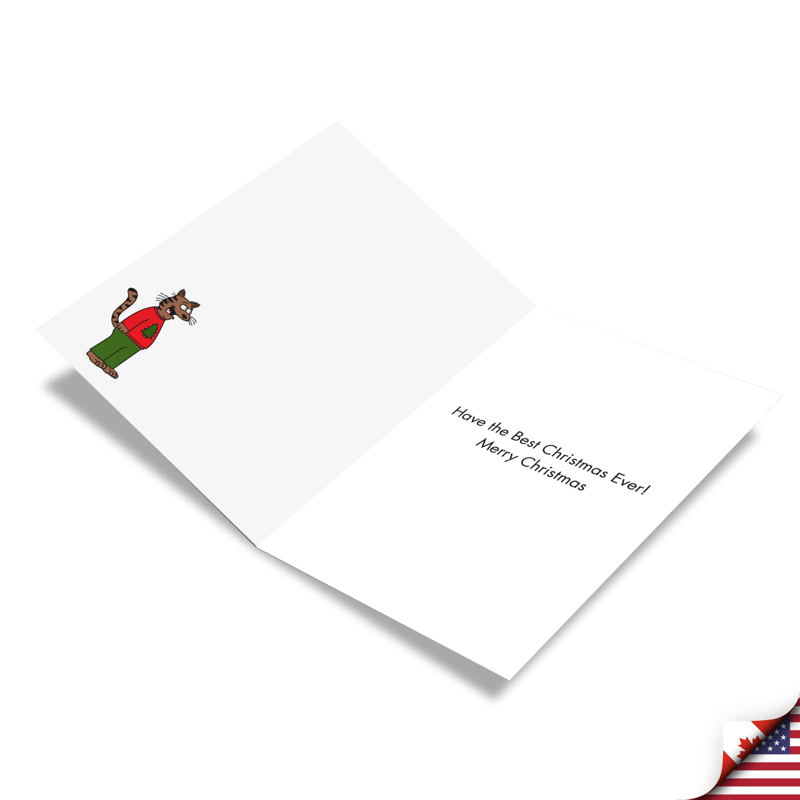 12 Funny Christmas Cards for Adults - Cartoon Holiday Humor Greeting Cards Boxed Set (1 Design, 12 Cards) - Perfect for Office Gifts, White Elephant Parties & Family Celebrations - NobleWorks C9500XSG-B12x1