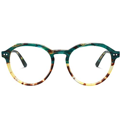 Tortoise Frame