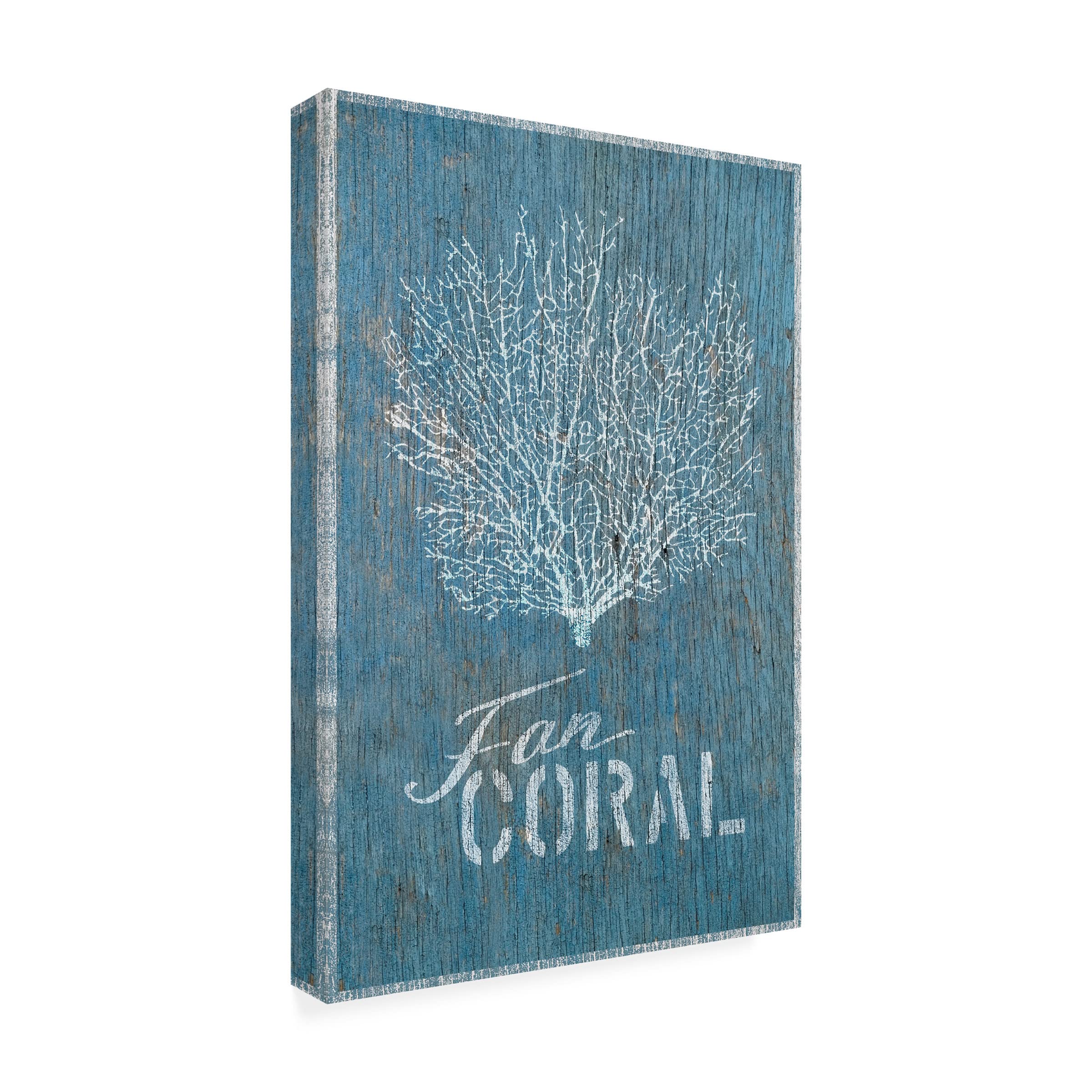 Trademark Fine Art 'Fan Coral on Blue Wood' Canvas Wall Art by Cora Niele - Perfect for Living Room, Bedroom & Office Decor