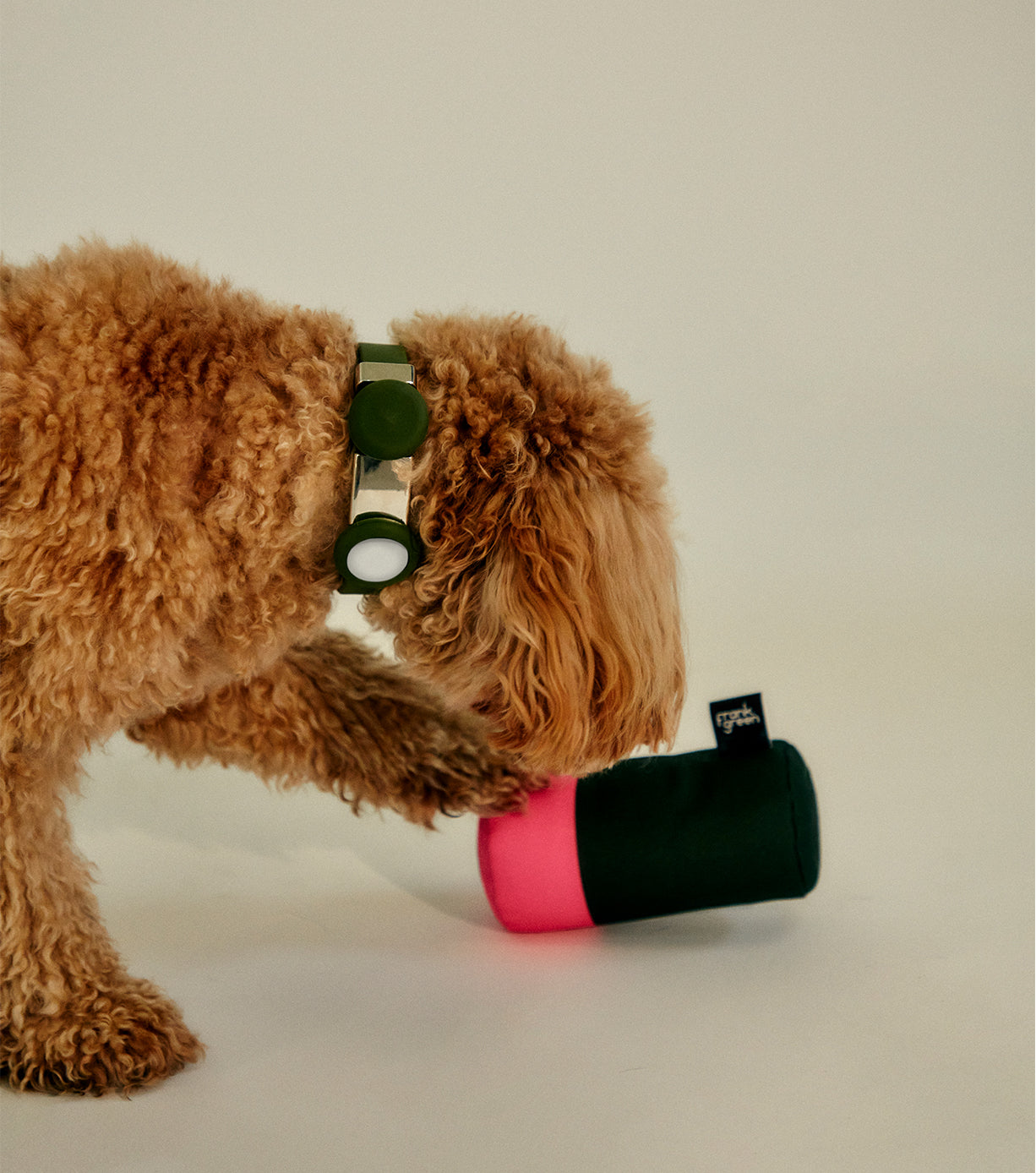 Durable Squeaky Dog Toys for Small & Large Dogs - Interactive Chew Toys for Puppies & Adult Dogs - Perfect for Playtime, Training & Teething Relief