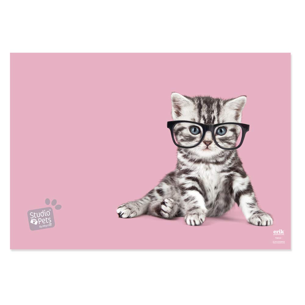 Official Studio Pets Cats 2019 Desk Mat - Non-Slip Mouse Pad & Desk Protector - 13.5