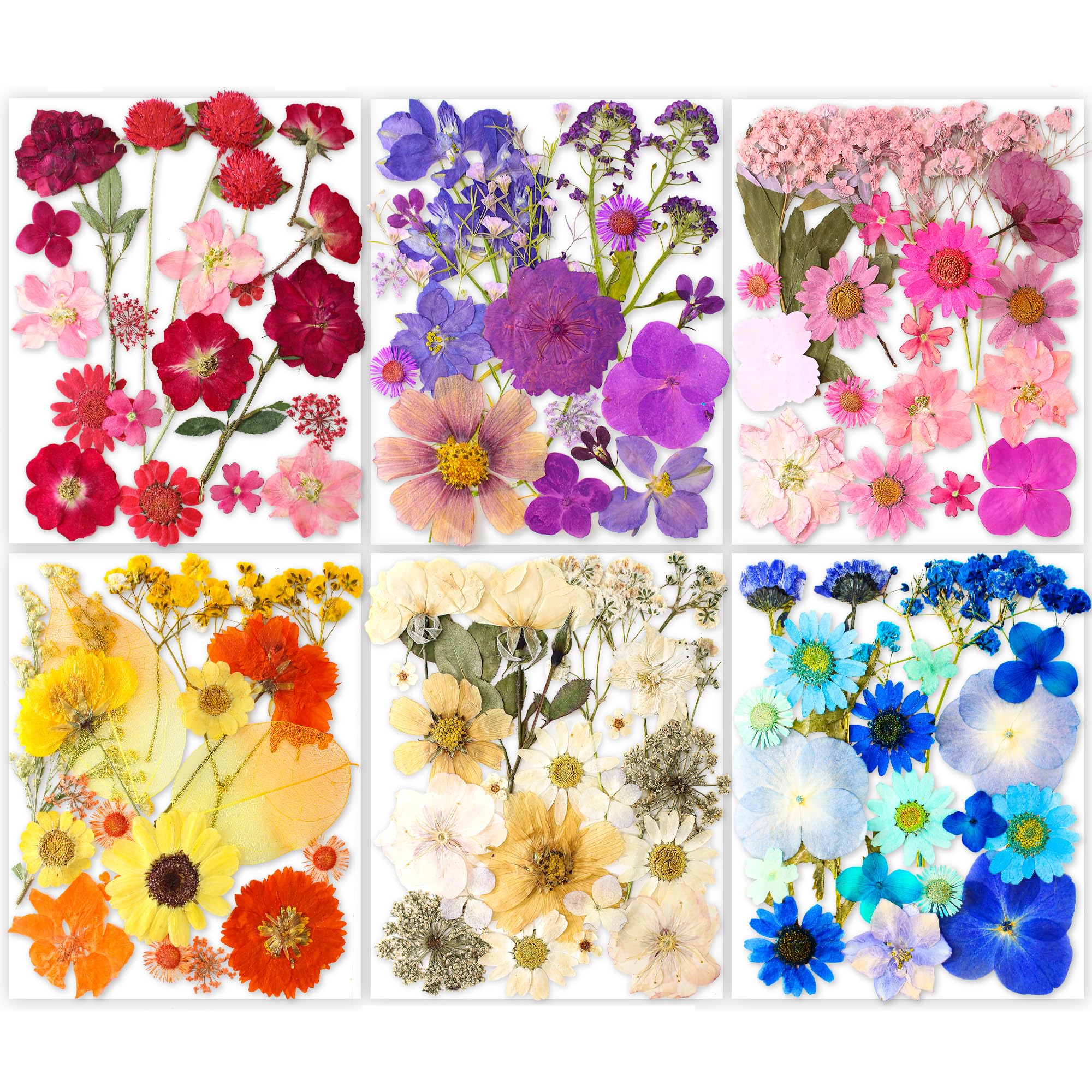221PCS Real Nature Dried Pressed Flowers for Resin Craft, DIY Jewelry Making, Nail Art, Scrapbooking - Includes Butterfly Transparent Stickers - Perfect for Home Decor, Wedding Invitations & Summer Craft Projects