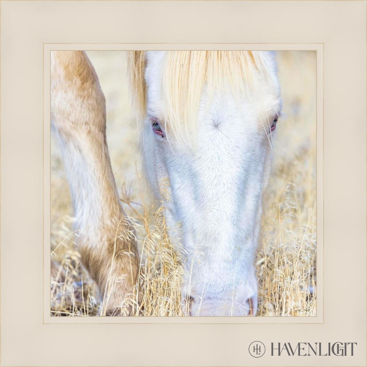 Dry Grass by Greg Sargent - Premium Handcrafted Home Decor for Rustic & Farmhouse Style - Perfect for Wall Art, Shelf Displays & Cozy Living Room Decor