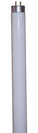 Technical Precision F32T8/841/HL LED Light Bulbs - 36 Pack | Energy Efficient Replacement for Fluorescent Tubes | Perfect for Offices, Warehouses & Retail Spaces