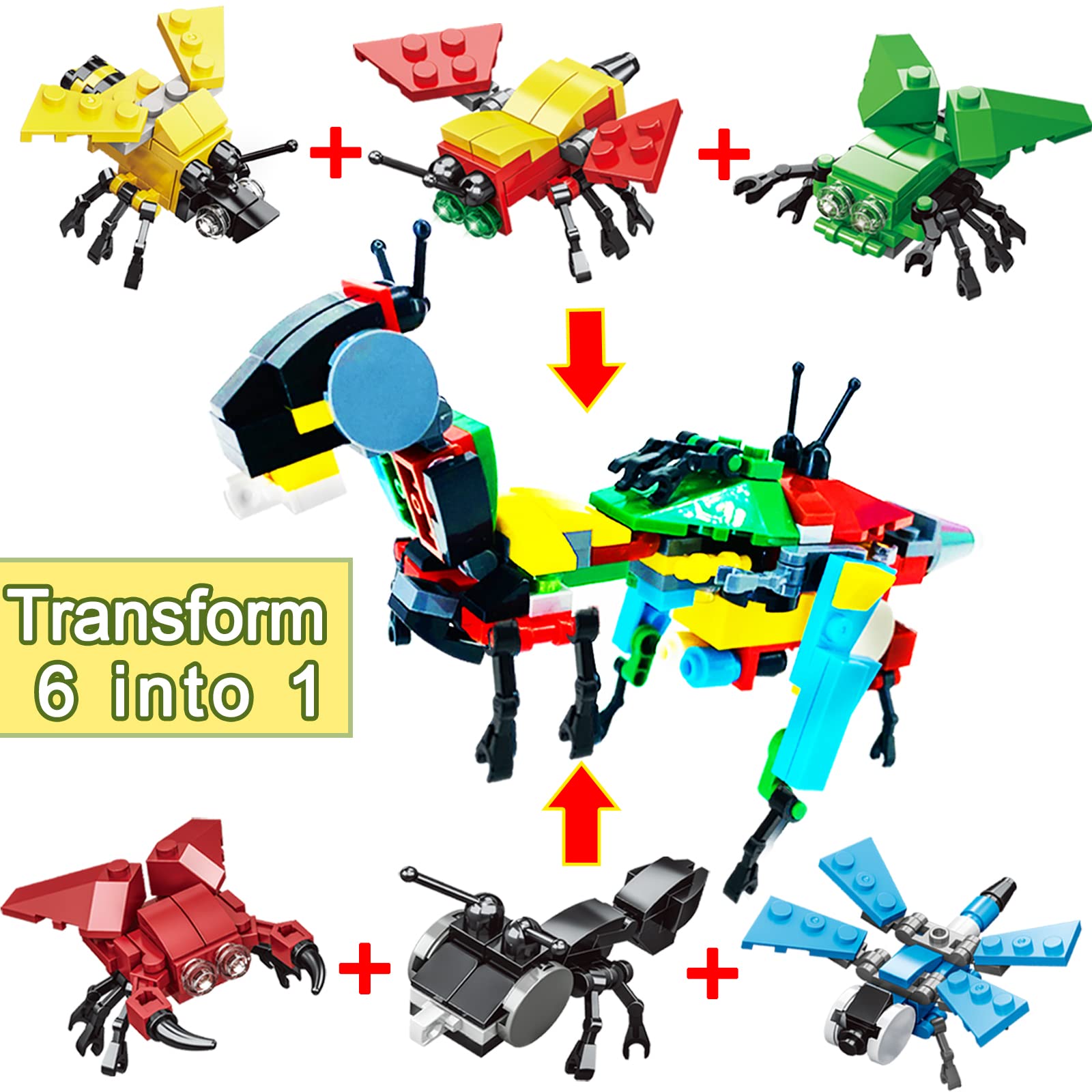 12-Pack 3