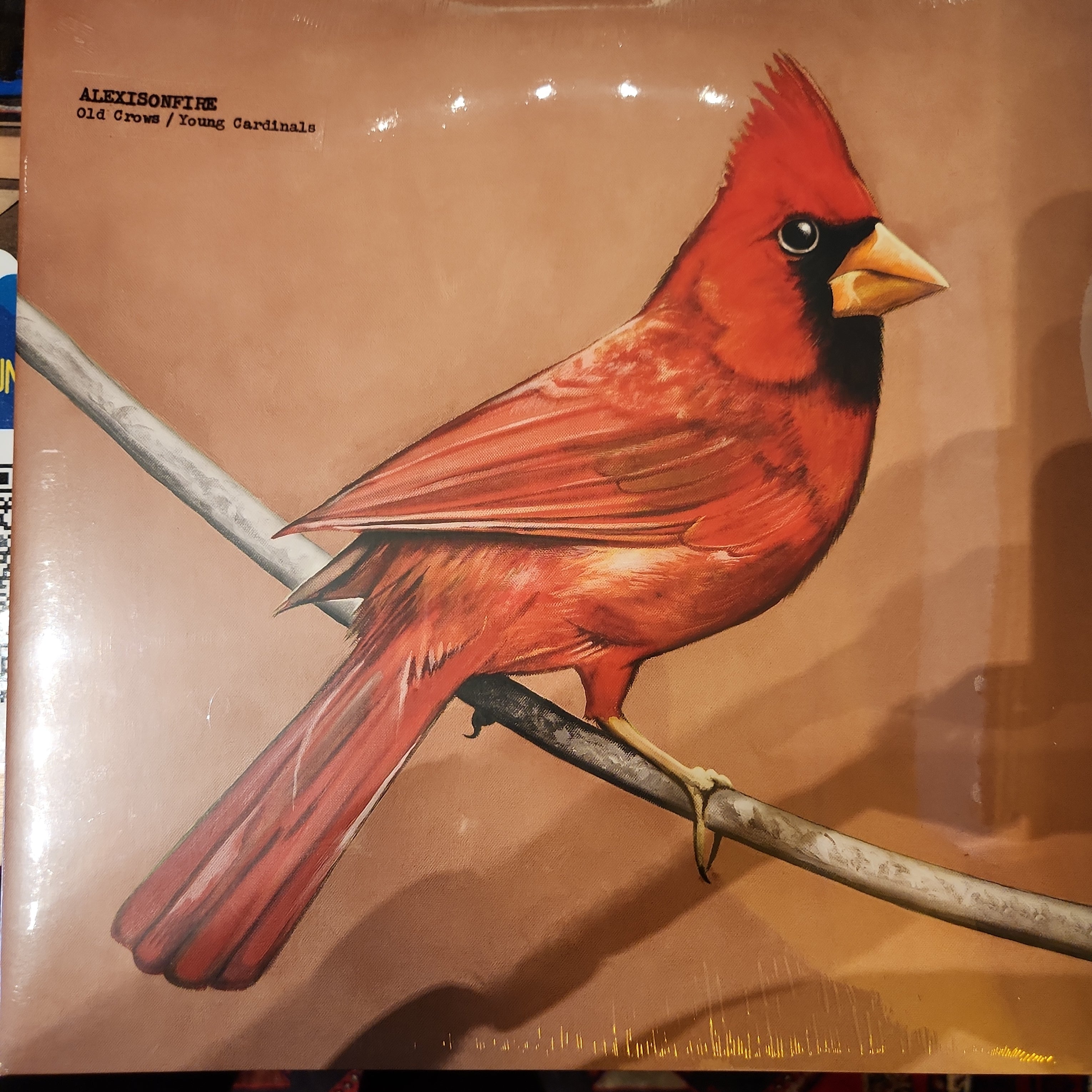 Alexisonfire Old Crows/Young Cardinals Vinyl LP Record - Punk Rock Music for Collectors & Home Listening