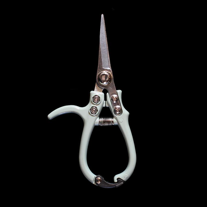Premium Bypass Pruning Shears - Sharp Garden Scissors for Trimming Plants, Flowers & Branches - Ideal for Gardening, Landscaping & Outdoor Use