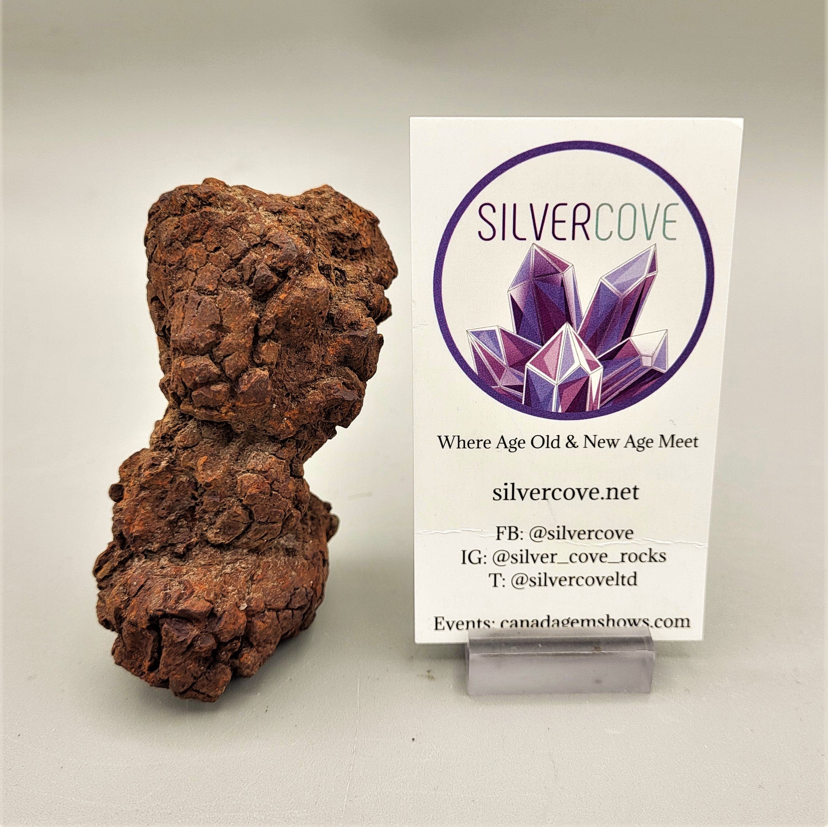 Authentic Coprolite Fossil Specimen - Dinosaur Poop Fossil for Collectors, Science Education & Home Decor | Perfect for Paleontology Enthusiasts & Unique Gift Ideas