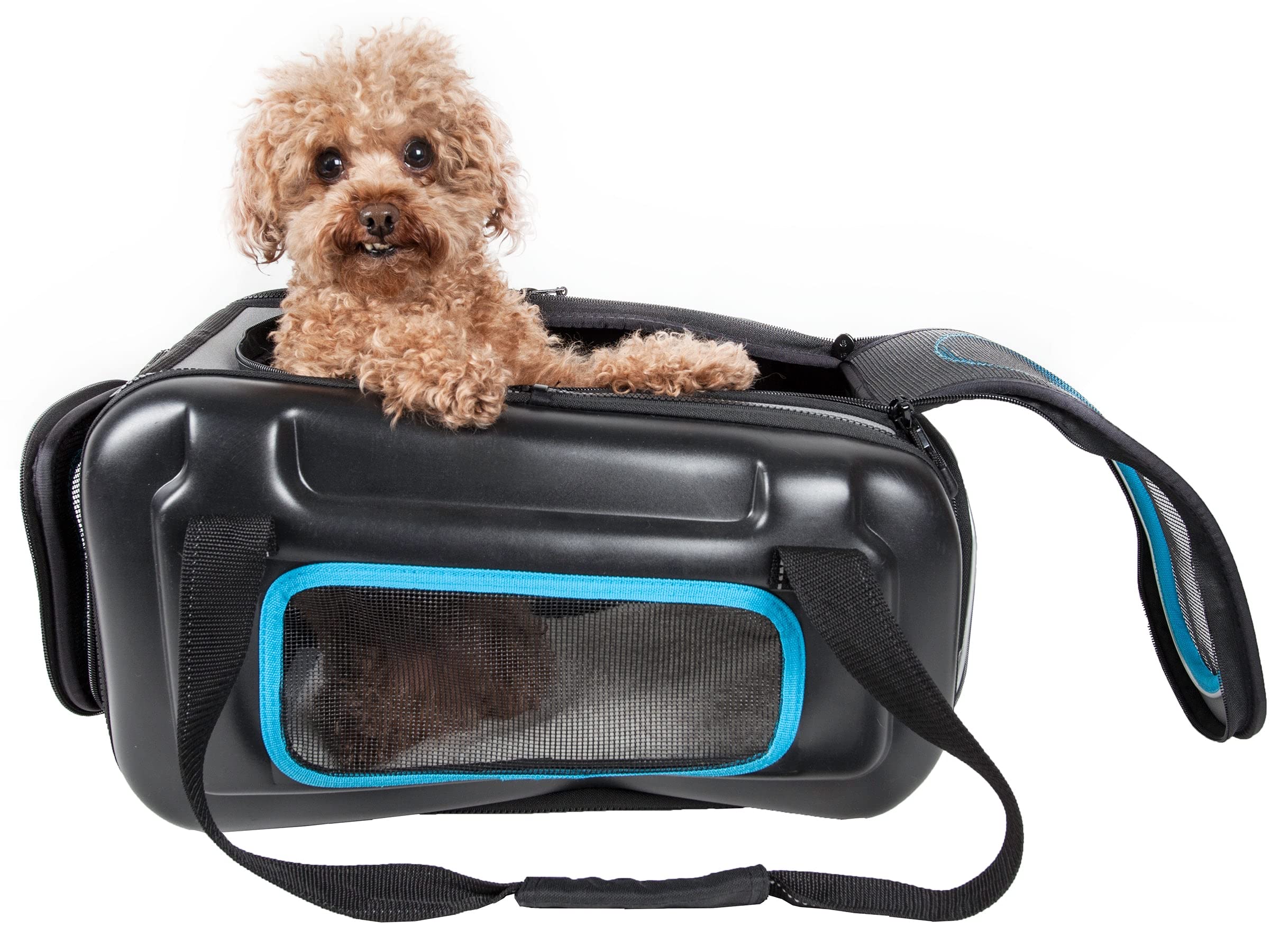 PET LIFE 'Stow-Away' Airline Approved Collapsible Dog Carrier - Lightweight & Ergonomic Design for Travel - One Size Fits Most - Black & Blue Options - Perfect for Airplane Cabins, Road Trips & Vet Visits