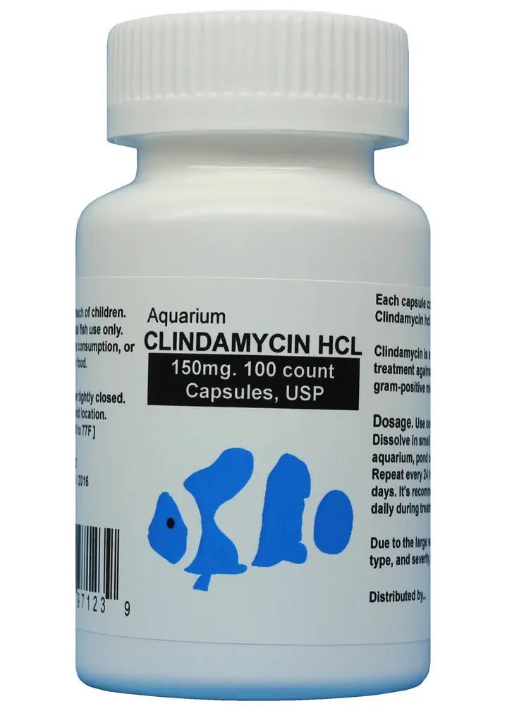 Fish Aid Clindamycin Antibiotics 150mg - 100 Capsules for Aquarium Fish Treatment | Bacterial Infection Remedy for Tropical & Saltwater Fish | Pond & Tank Use