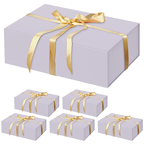 6 Pack Purple-13.8x9x4.3