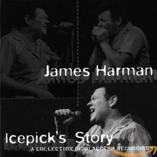Icepick's Story - A Gripping Adventure Novel for Teens & Young Adults | Perfect for Book Clubs, Gifts & Reading Enthusiasts