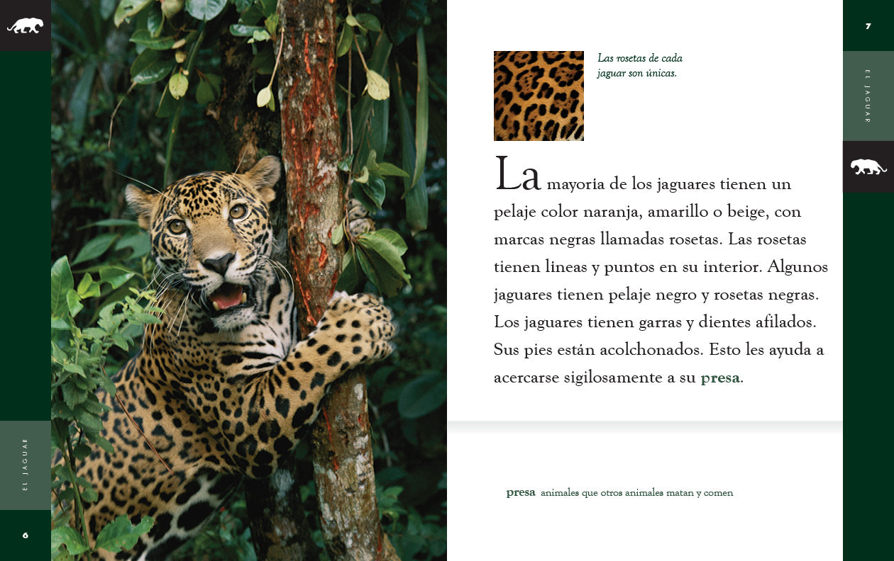 El Jaguar Book 9781640266742 - Wildlife & Nature Adventure for Kids & Adults - Perfect for Reading & Learning About Jaguars