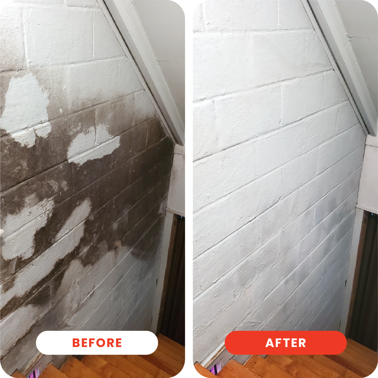 Powerful DOT Extra Strength Mold Stain Remover Spray - Fast Acting Formula for Bathroom, Kitchen & Shower Tiles - Eliminates Tough Stains & Prevents Regrowth