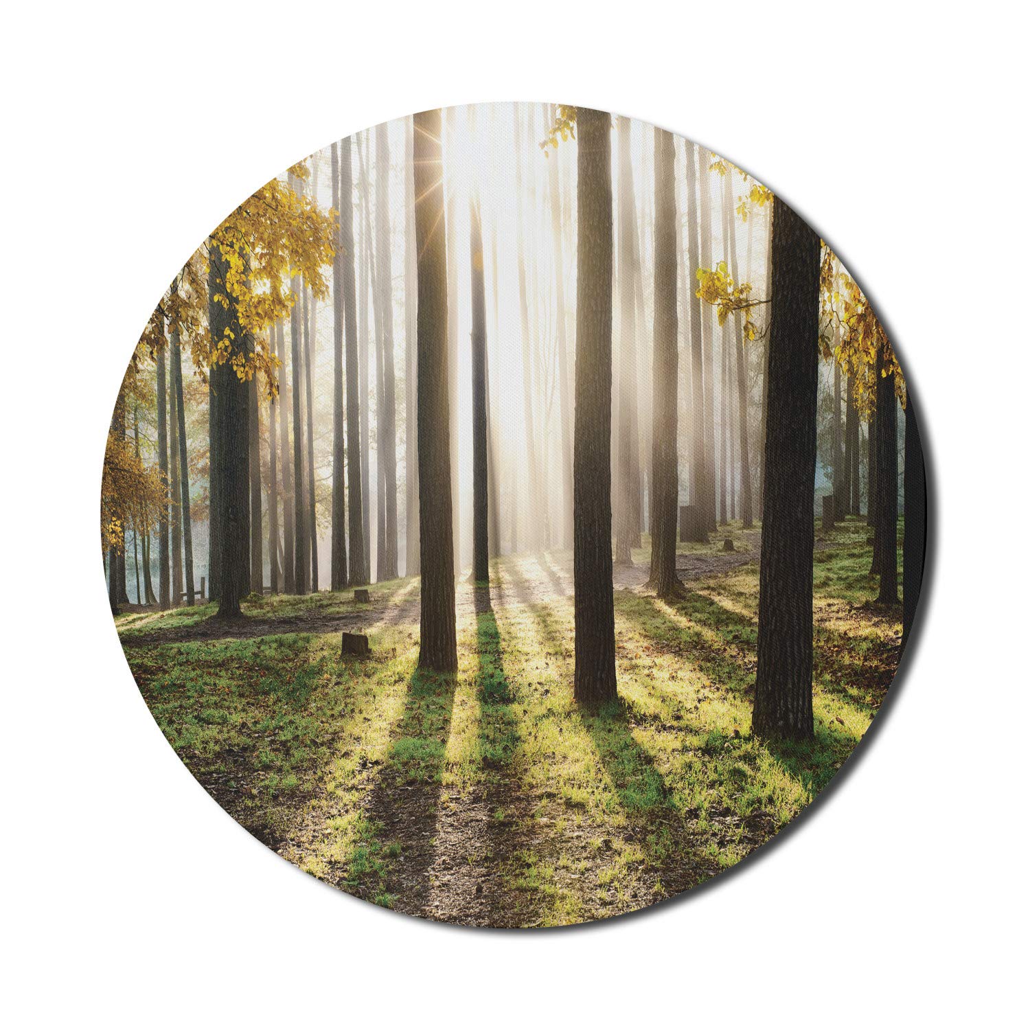 Ambesonne Round Non-Slip Gaming Mouse Pad - 8 Inch Forest Landscape Design with Sunrise & Seasonal Leaves - Thick Rubber Base for Computers & Office Use - Perfect for Work, Gaming & Home Office Setup (Yellow Green Brown)