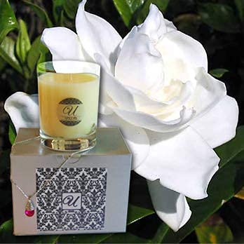 Gardenia Scented Candle in 8 oz Glass Jar with Hidden Jewelry Ring (Size 7) - $10 to $10,000 Value - Perfect for Romantic Gifts, Home Decor & Surprise Proposals