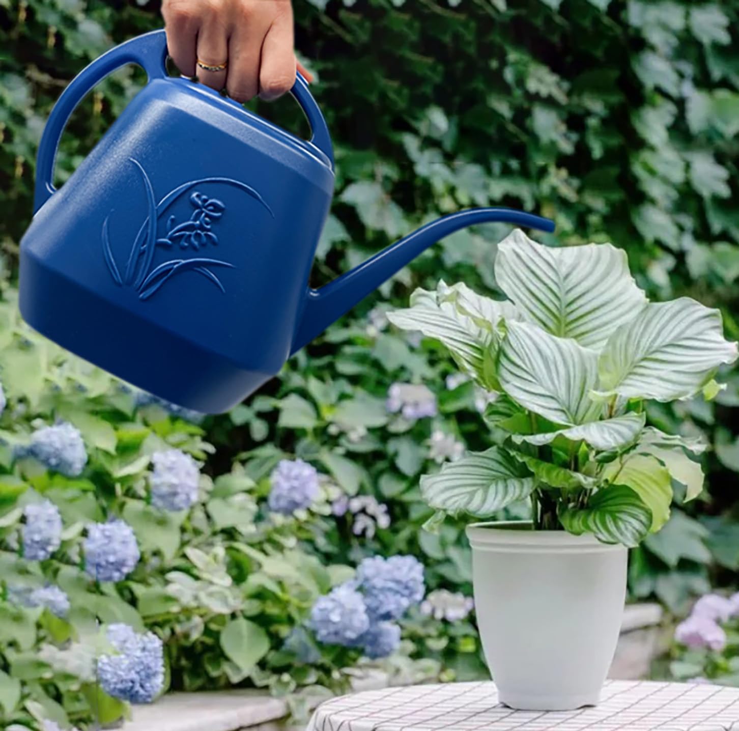 0.5 Gallon Plant Watering Can for Indoor & Outdoor Gardens - Perfect for Houseplants, Flowers, and Small Gardens