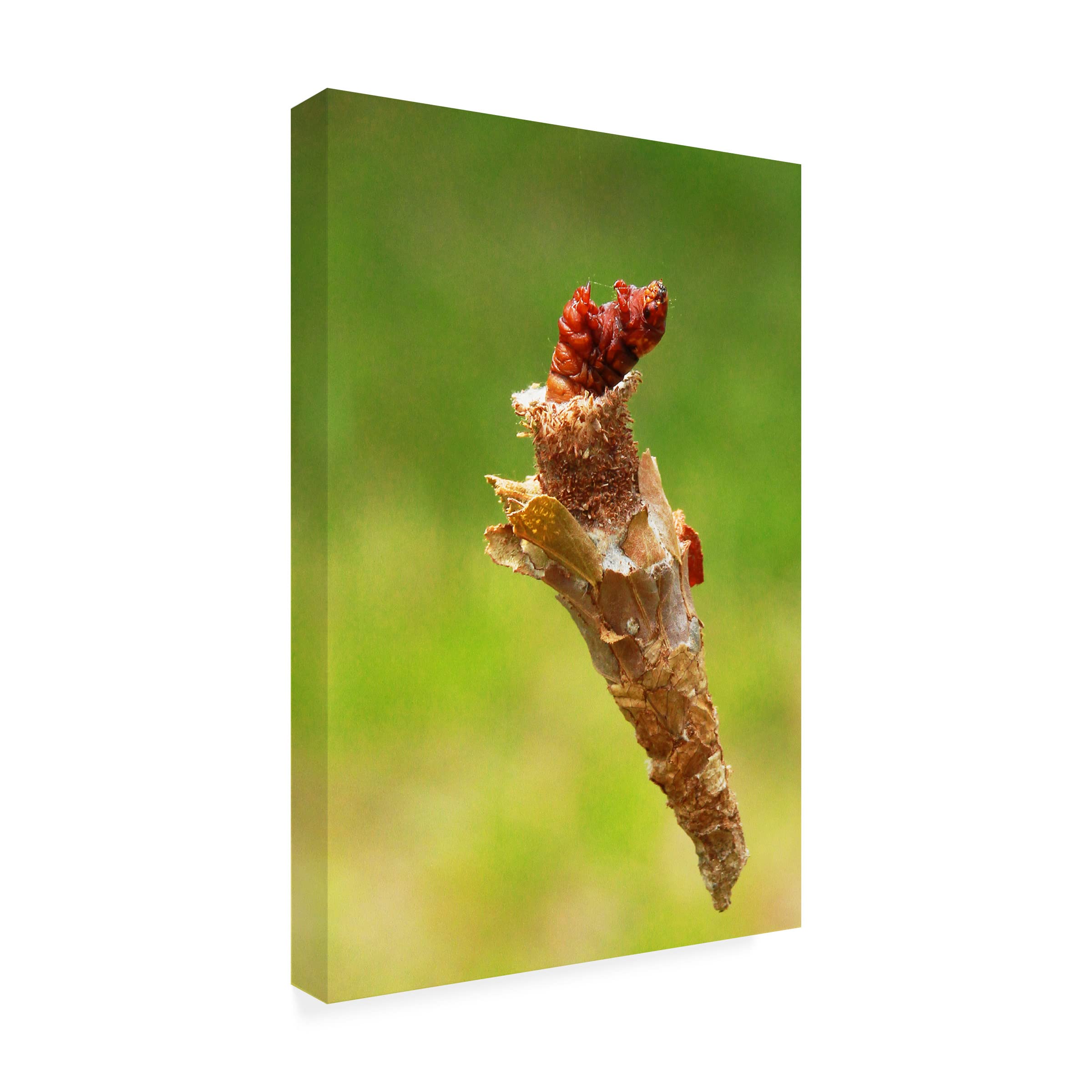 Trademark Fine Art 'Life Must Go On' Canvas Wall Art by Rudi Sugianto - Modern Home Decor for Living Room, Bedroom & Office