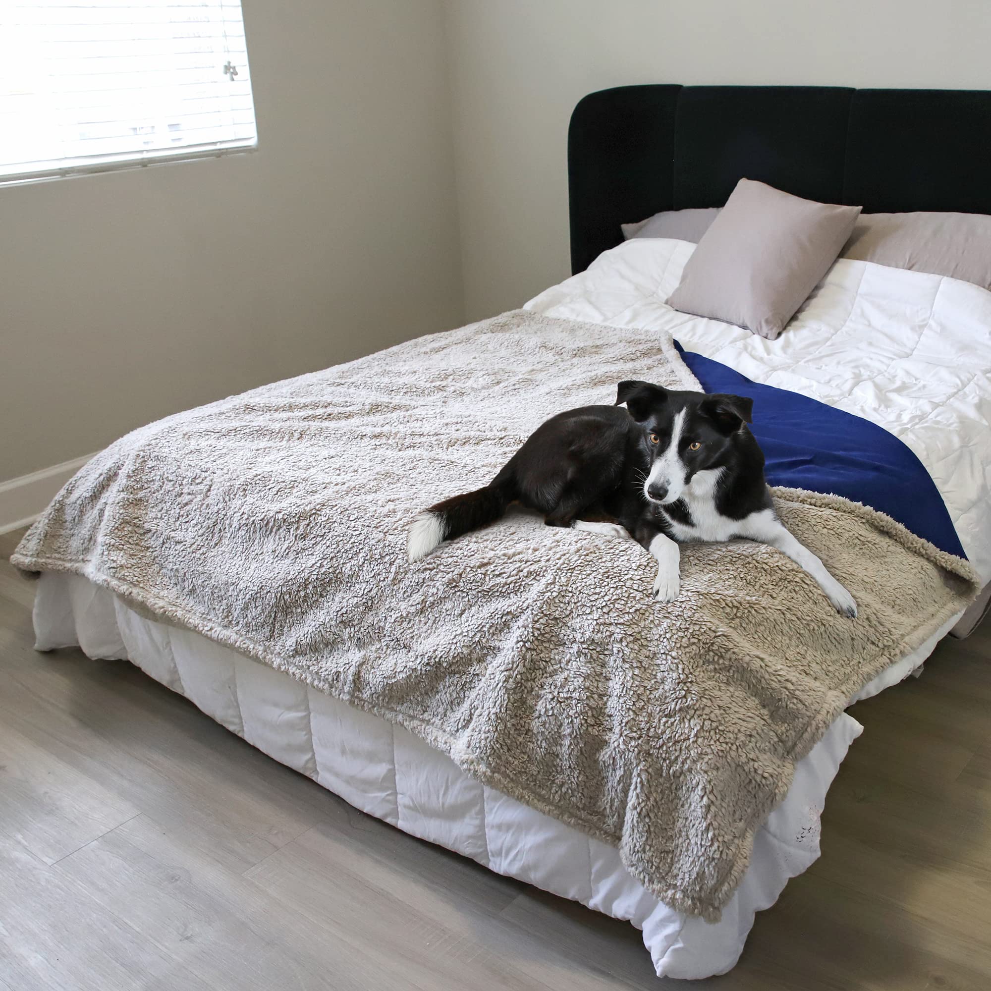 Waterproof Love Blanket for Sex - Soft & Cozy Catalonia Classy Blanket, Large 150x200cm, Marine/Taupe - Perfect for Couples, Pets & Sofa Protection