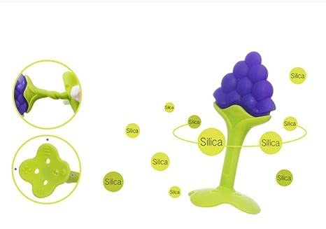 BPA-Free Baby Fruit Nibbler & Teether for Infants 3-12 Months | Safe Silicone Feeder for Toddlers | Multicolor | Perfect for Soothing Teething Pain & Introducing Solid Foods