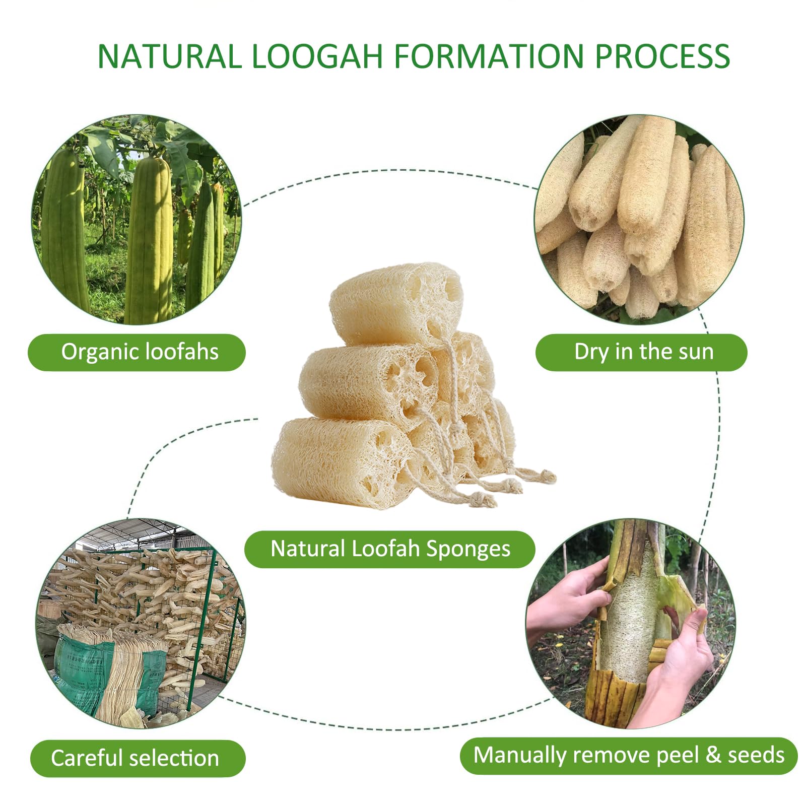 Organic Loofah Sponge Set - 6 Pack Natural Luffa Bath Sponges for Exfoliating Body Scrub, Shower & SPA Care | Gentle Skin Cleansing for Men & Women | Perfect for Face, Back & Full Body Exfoliation | Eco-Friendly Bath Accessories for Daily Skincare Routine