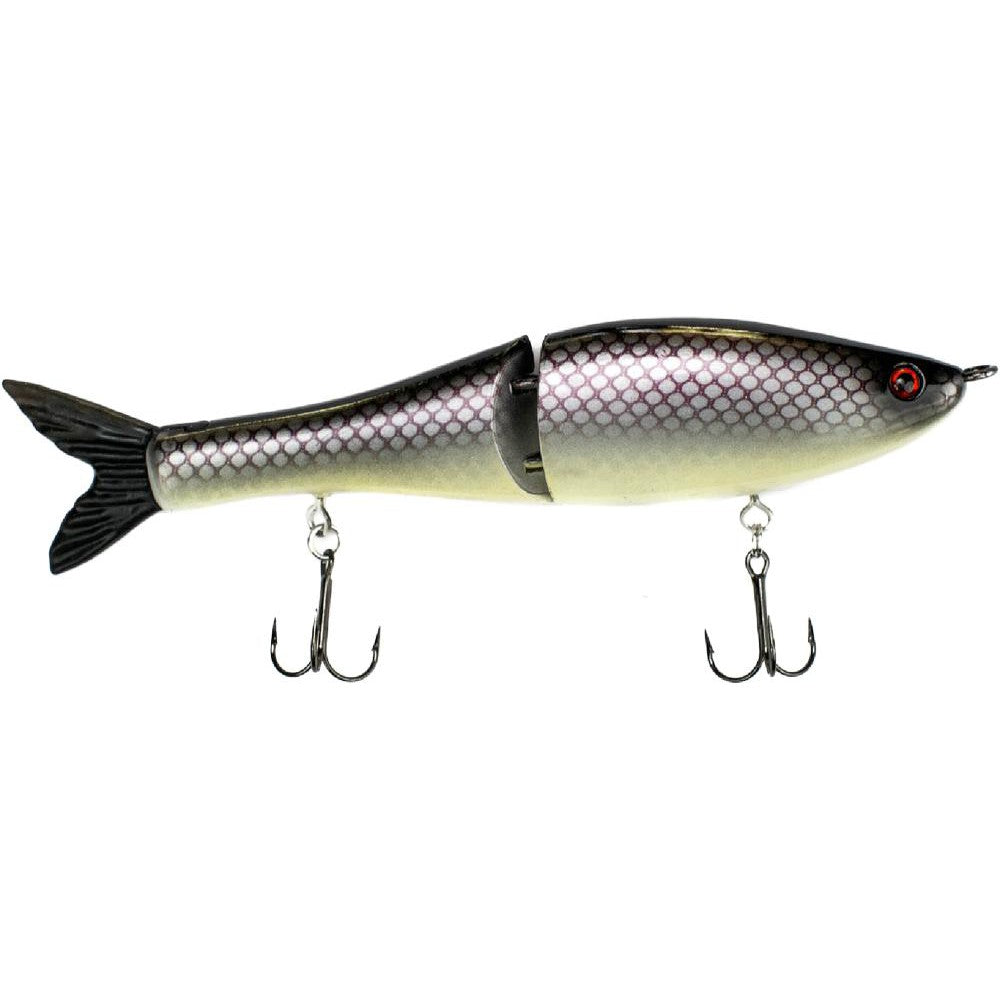 Gizzard Shad
