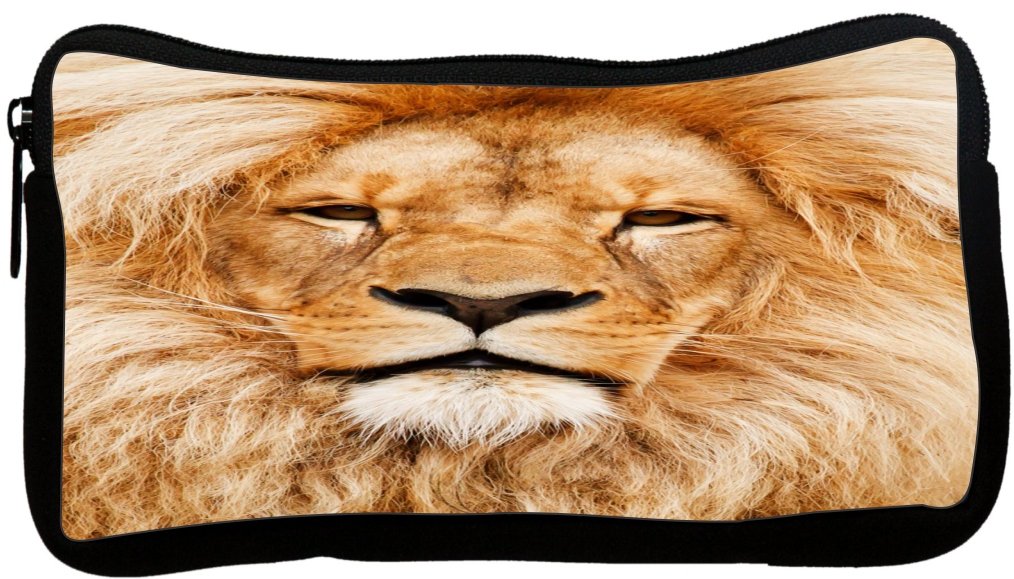 Lion King Themed Neoprene Pencil Case (PC785) - Durable School & Office Supplies for Students, Artists & Professionals