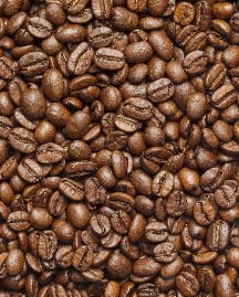 Coffee Bean