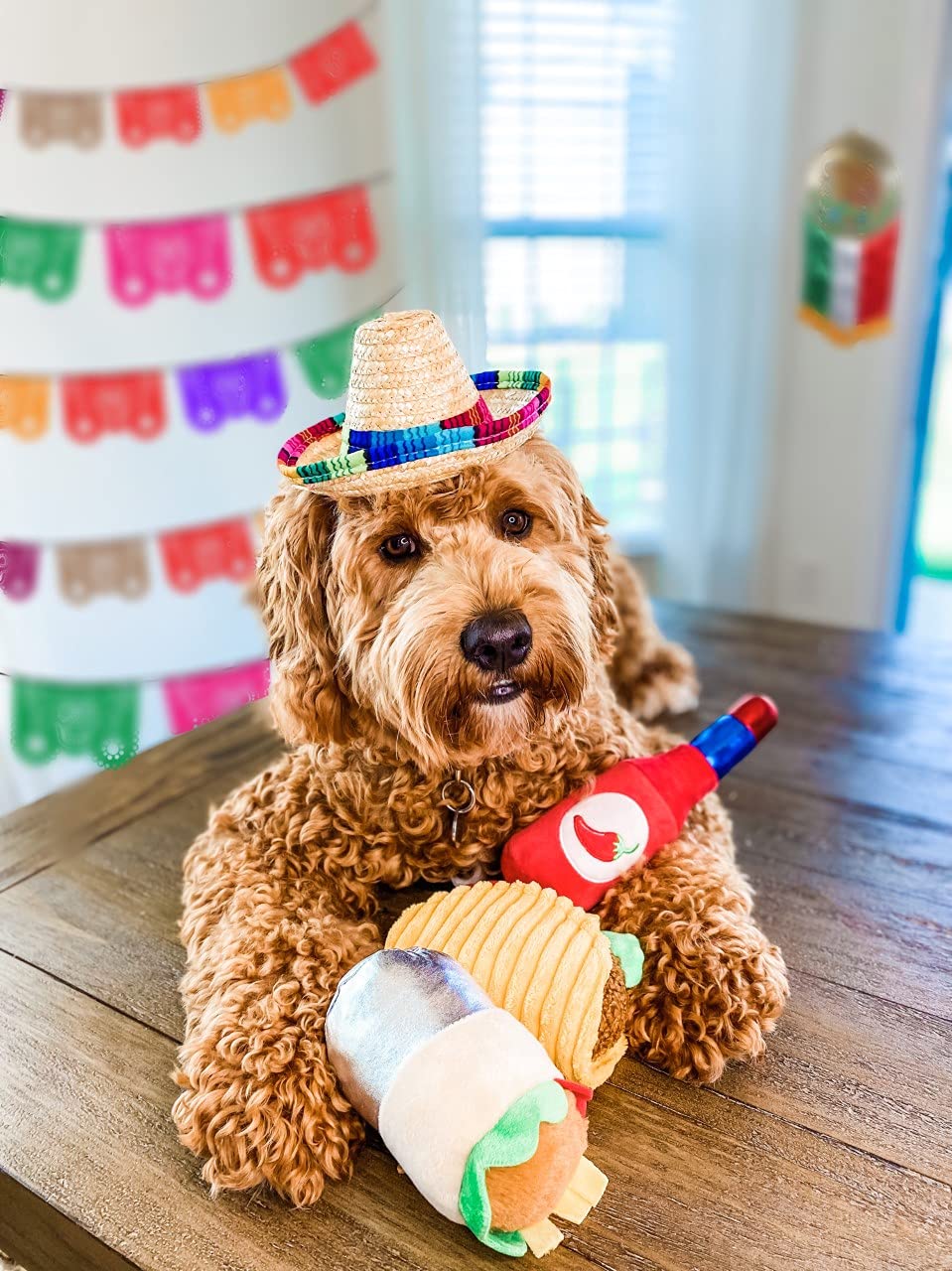TONBO Cute Food Plush Dog Toys - Soft & Durable Taco Tuesday Combo for Small & Medium Dogs - Perfect for Chewing, Cuddling & Playtime at Home or Outdoors