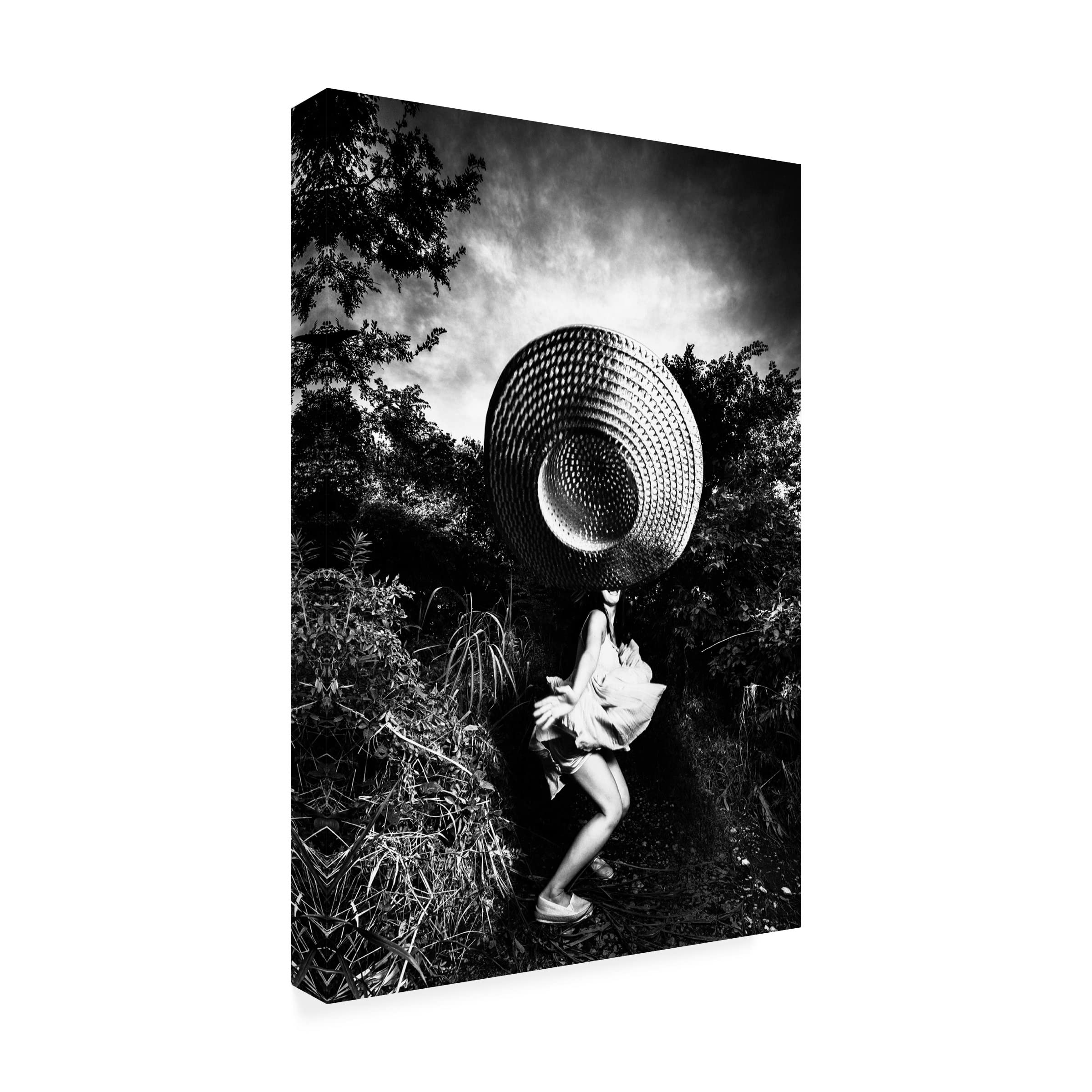 Trademark Fine Art 'Summer Portraits' Canvas Wall Art by Toru Matsunaga - Perfect for Living Room, Bedroom & Office Decor