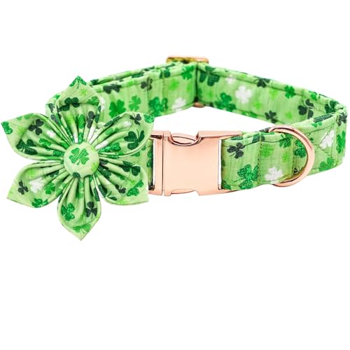 Lucky Clover