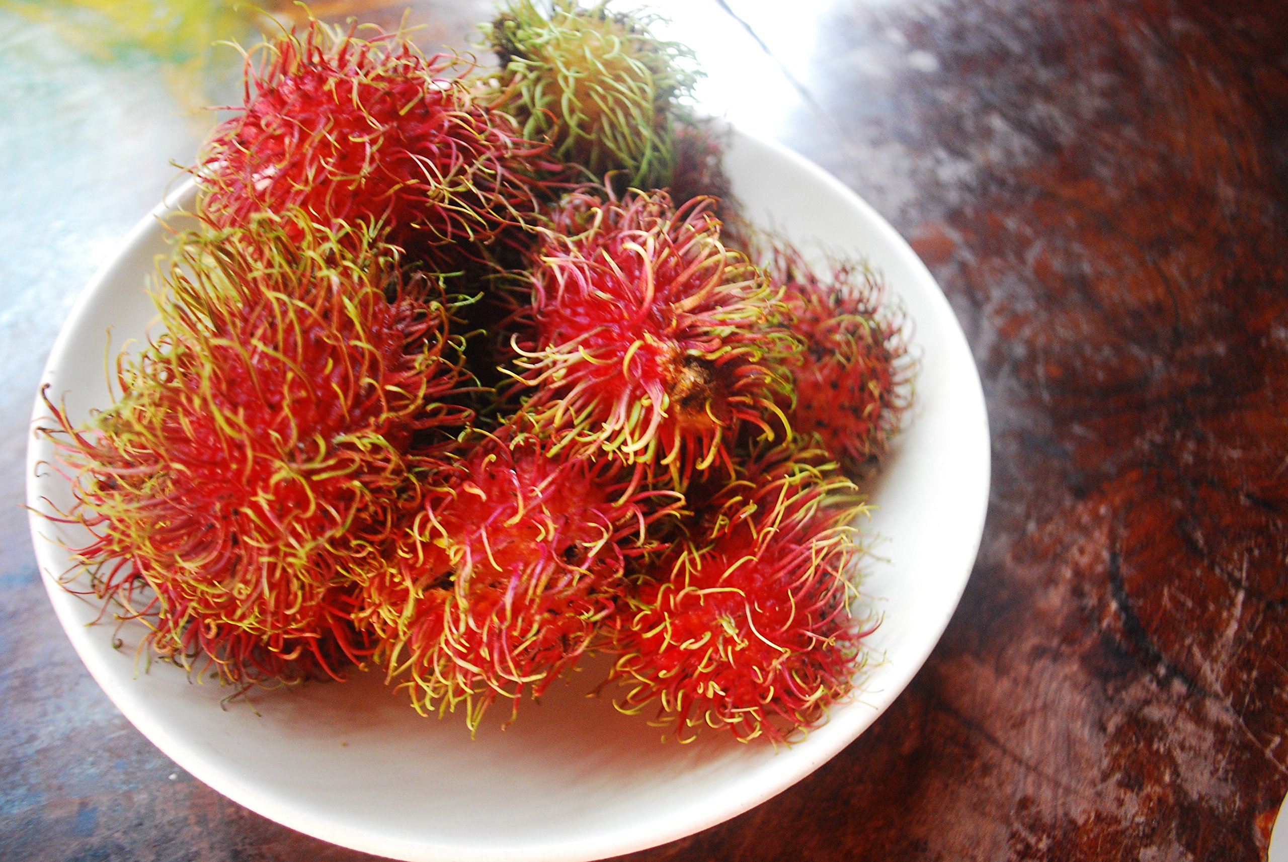 Fresh Rambutan Seeds from Thailand - 5 Seeds per Pack - Exotic Fruit Seeds for Home Garden Planting - Perfect for Tropical Fruit Lovers & DIY Garden Projects