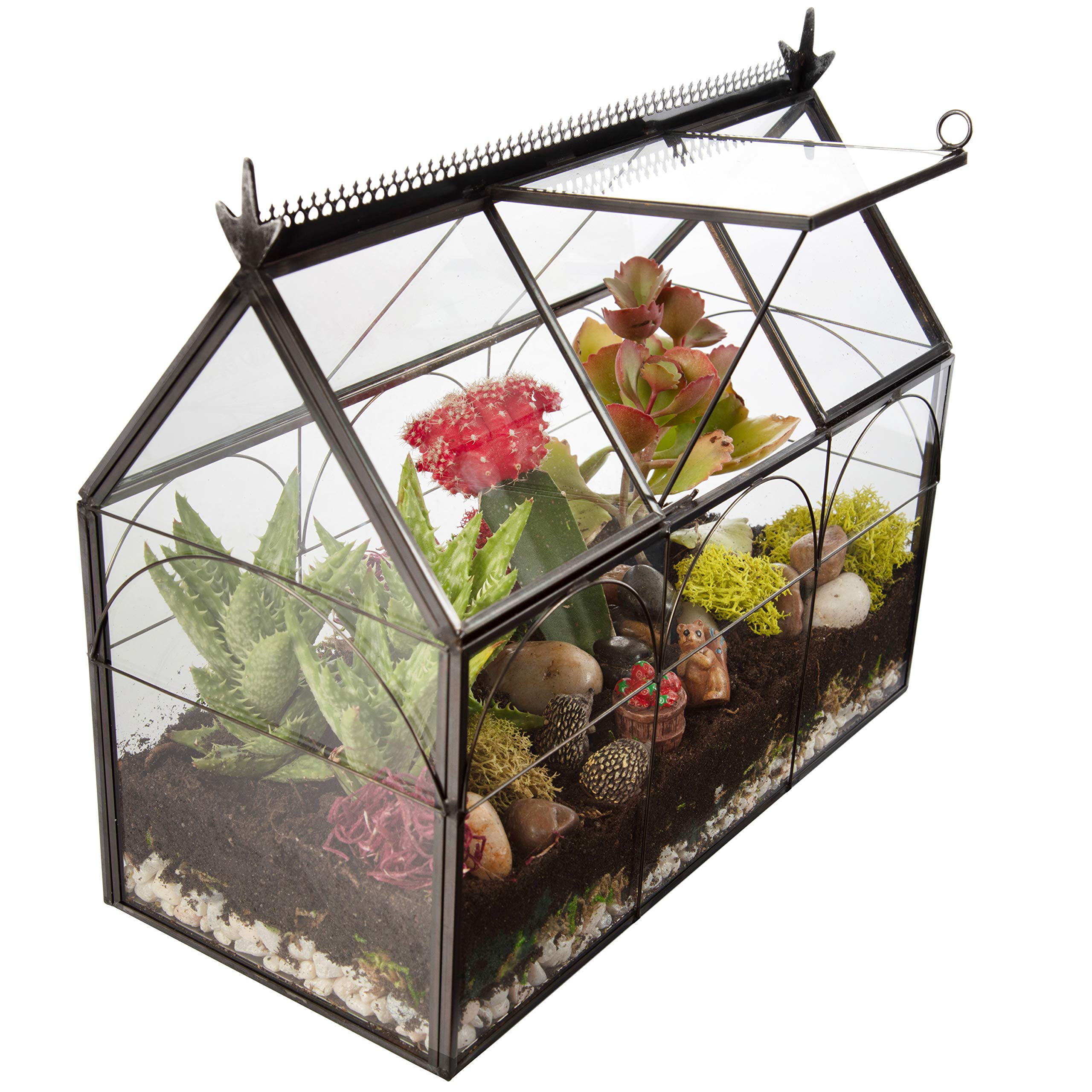 Decorative Glass Greenhouse Terrarium (10x4.5x9 Inches) - Indoor Tabletop Black Hinged Geometric Planter for Succulents, Air Plants, Moss & Ferns - Modern Home, Office & Garden Decor - Perfect Gift for Plant Lovers - Ideal for Windowsills, Desks & Shelf Displays