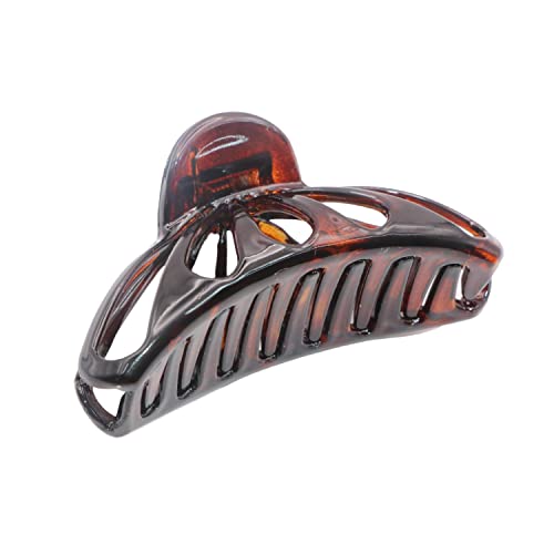 dark brown shell