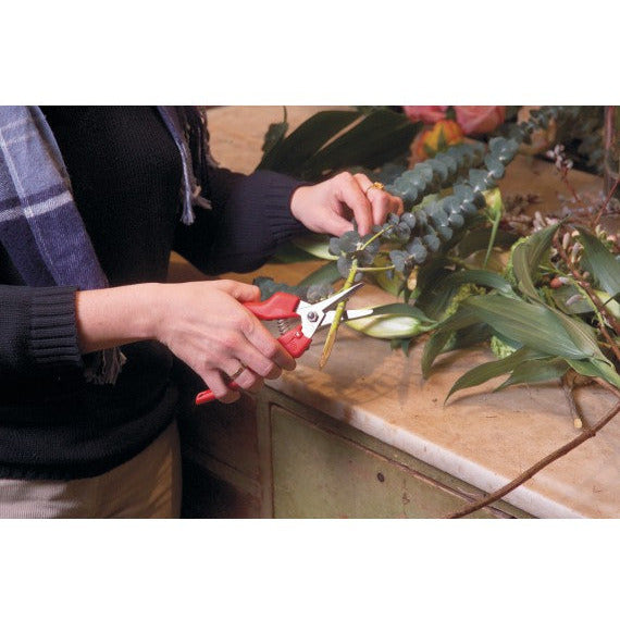 Felco F-310 Professional Pruning Snips - Sharp Bypass Shears for Gardening, Trimming, and Harvesting - Ideal for Flowers, Herbs, and Delicate Plants