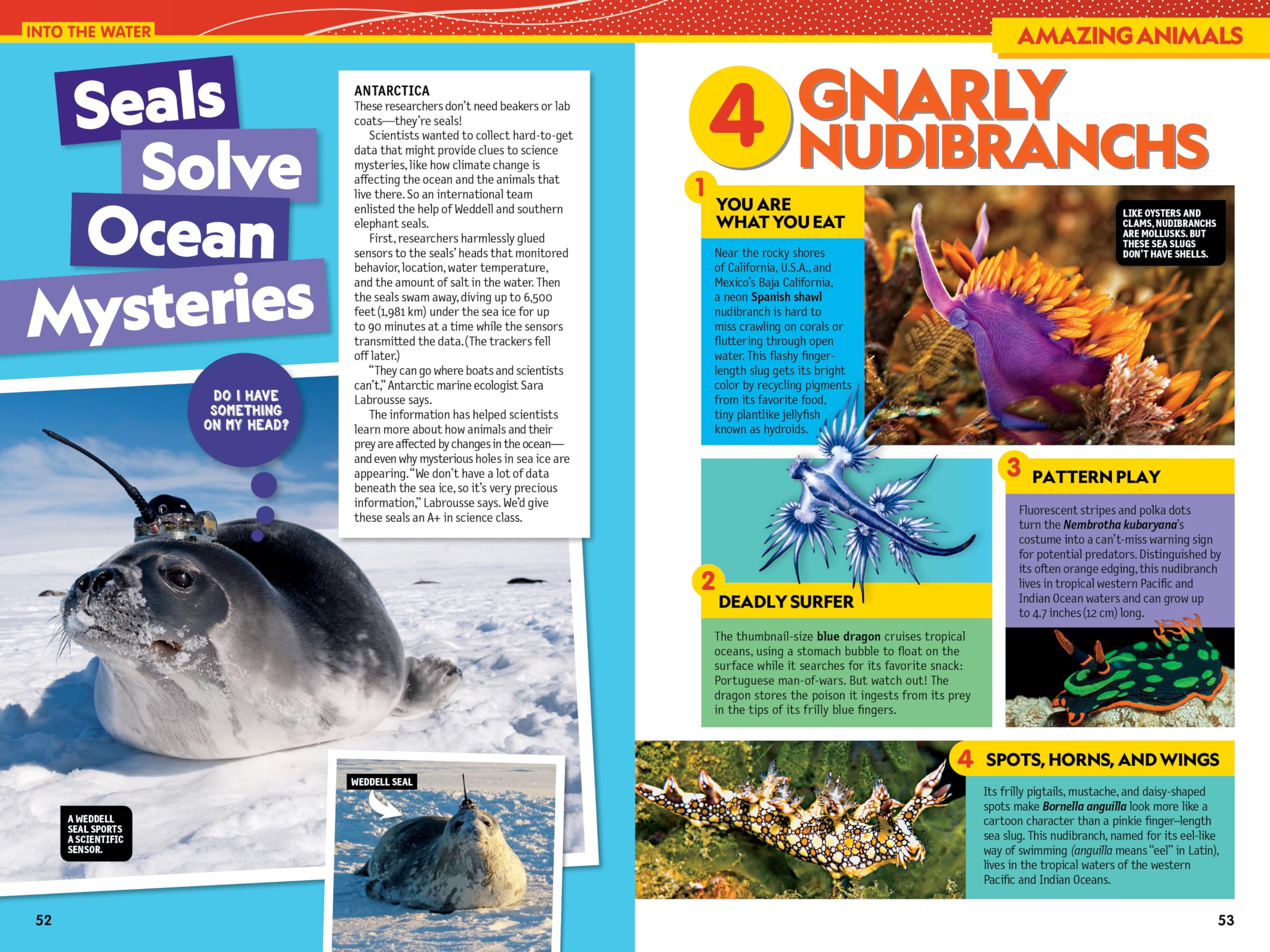 National Geographic Kids Almanac 2025 - Fun Facts & Educational Book for Children | Perfect for Homeschooling, Classroom Learning & Gift Giving