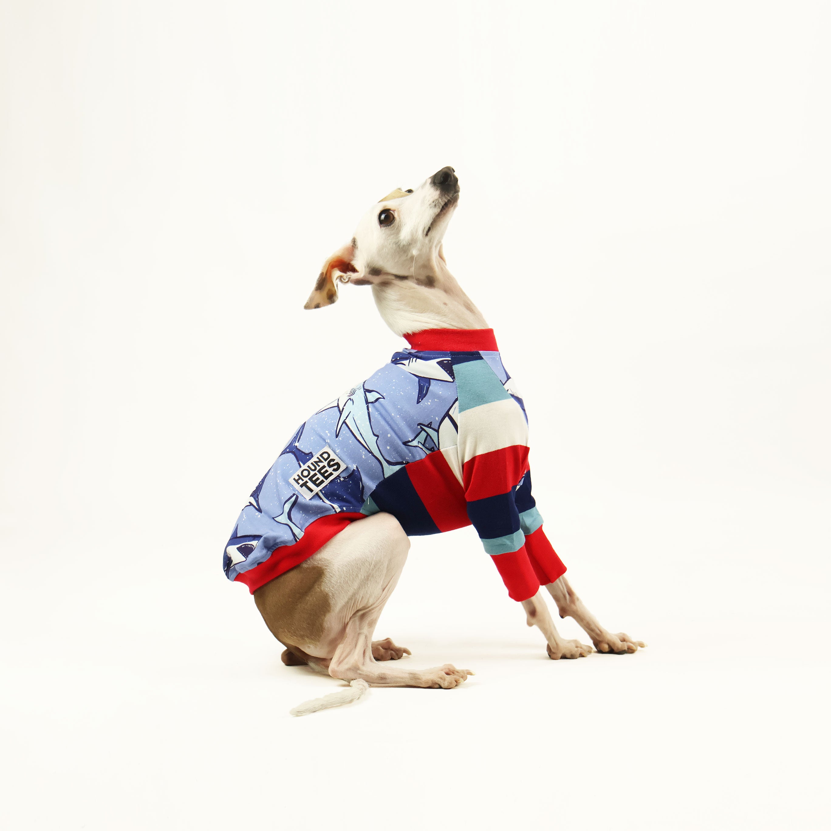 Land Shark Iggy Long Sleeve Hound Graphic T-Shirt for Men - Funny Dog Lover Apparel - Perfect for Casual Wear, Gifts & Pet Lovers
