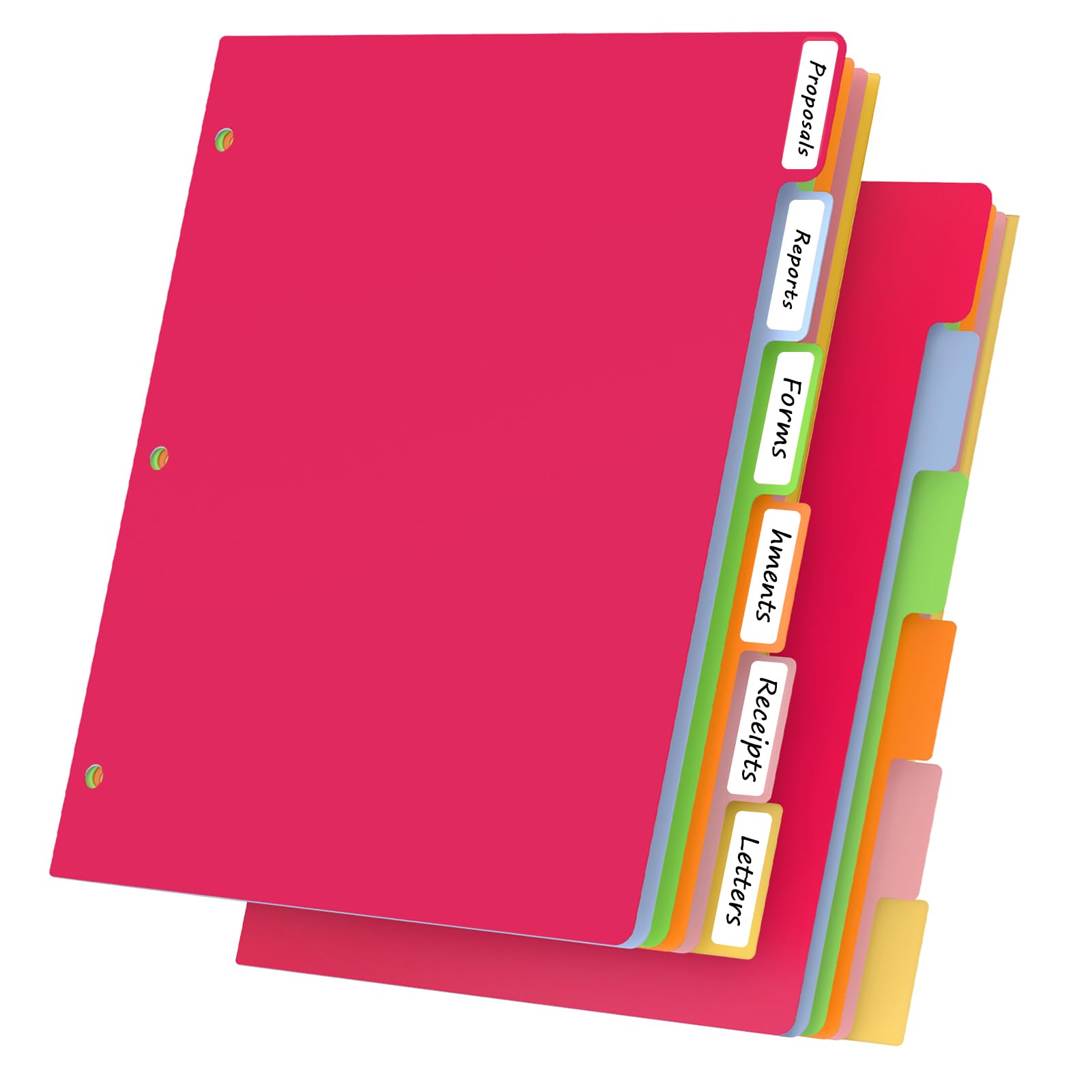12-Piece Colorful Plastic Tab Dividers for 3-Ring Binders - 2 Sets of 6 Tabs, Durable Page Organizers for School, Office & Home Filing Systems - Perfect for Notebooks, Presentations & Document Organization