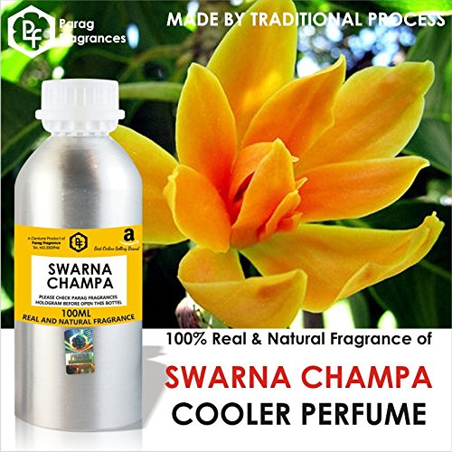 Parag Fragrances World Class Cooler Perfume for Men & Women - 100ml Eau De Parfum | Long Lasting Fresh Scent for Daily Wear, Office & Special Occasions