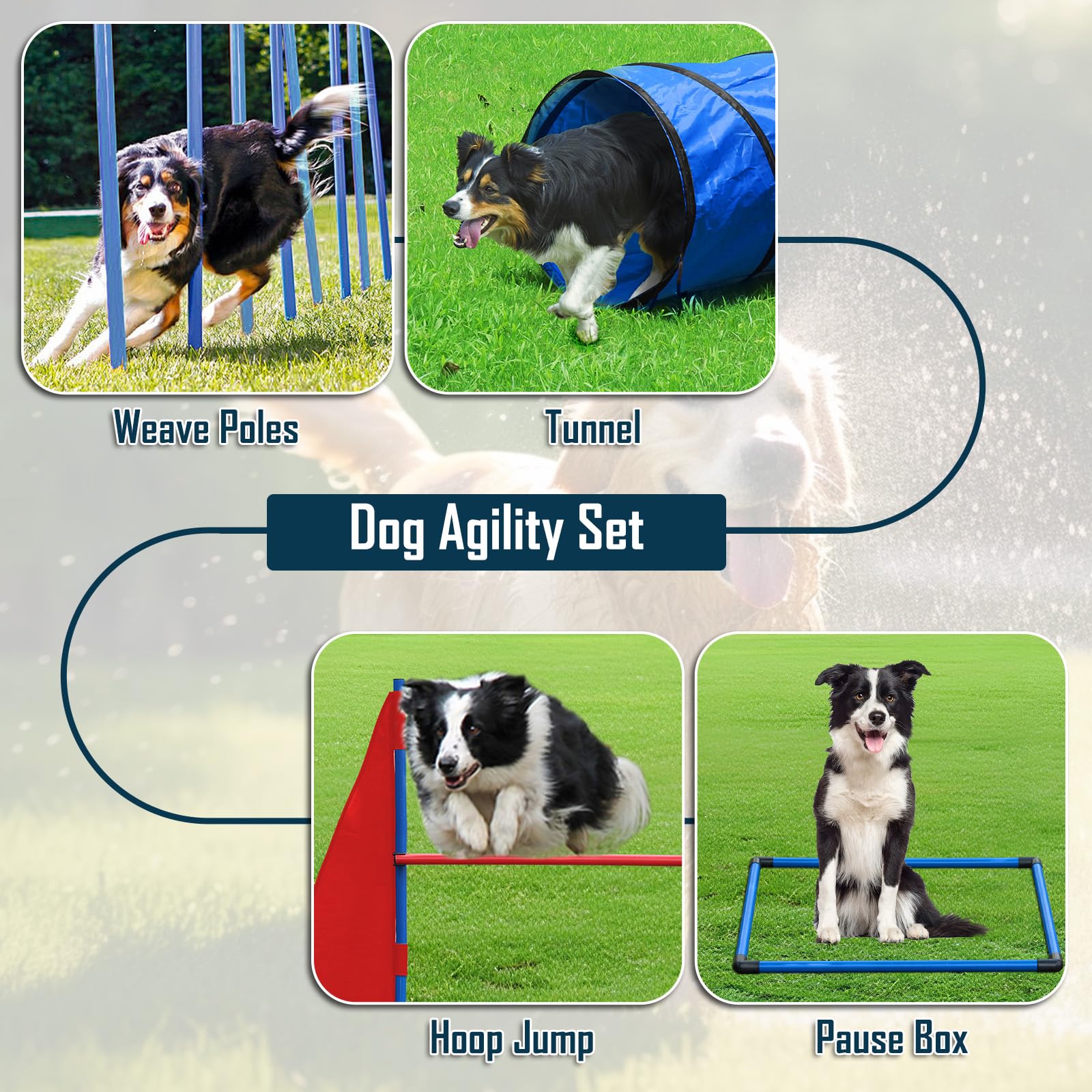 Premium Dog Agility Training Set - Portable Backyard Obstacle Course with 2 Tunnels, 3 Jumps & 6 Weave Poles | Professional Dog Agility Equipment for Small & Large Dogs | Perfect for Backyard Training, Competitions & Outdoor Exercise